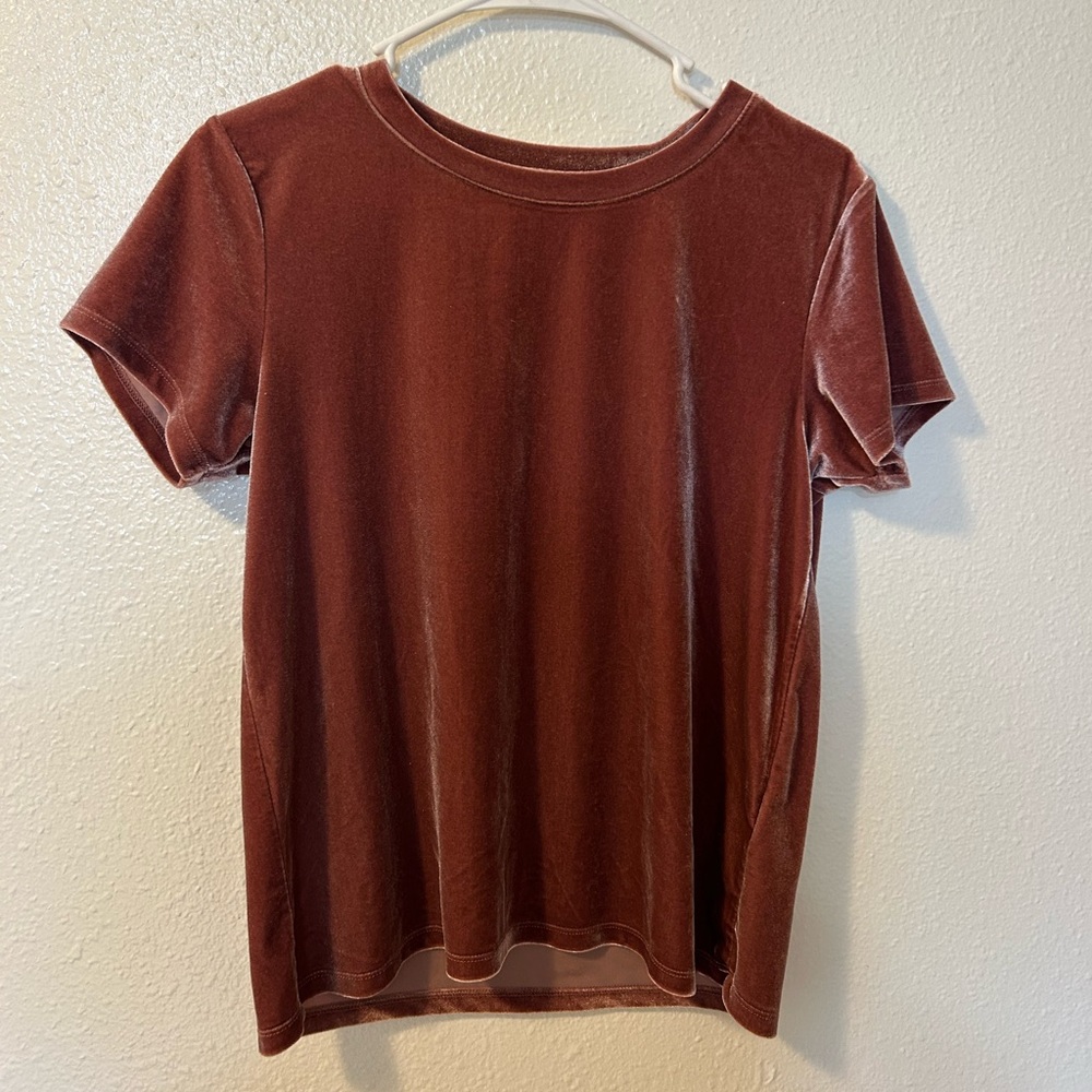 Abercrombie & Fitch Velvet Short Sleeve Top